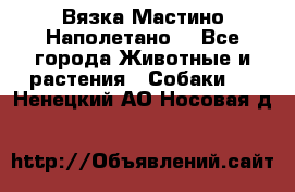 Вязка Мастино Наполетано  - Все города Животные и растения » Собаки   . Ненецкий АО,Носовая д.